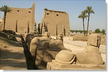 Ingresso del tempio di Luxor